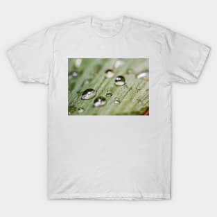 Aqua Drops. Macro Photography T-Shirt